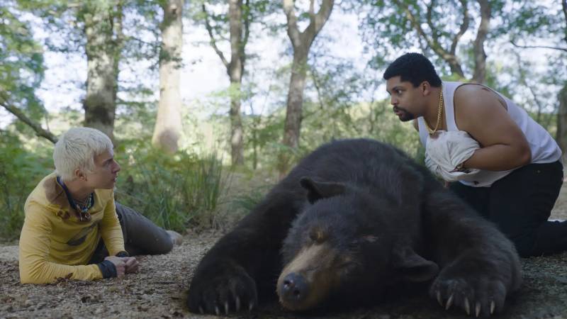 O Urso do Pó Branco